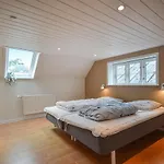 Pet Friendly In Skærbæk