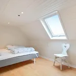 Pet Friendly In * Skærbæk